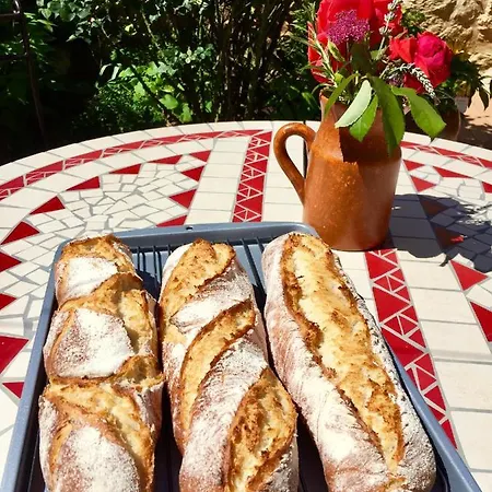 Bed & Breakfast Les Petits Cousins Du Quebec - D'hotes A Domme