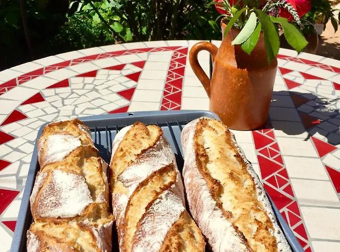 Alojamento de Acomodação e Pequeno-almoço Les Petits Cousins Du Québec - D’hôtes à Domme