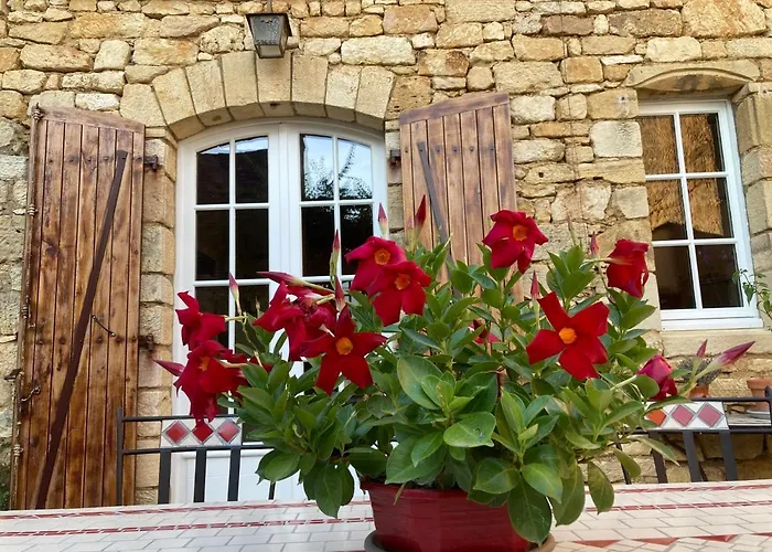 Les Petits Cousins Du Québec - D’hôtes à 3* Domme